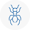 Ant Removals In Rubery