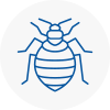 Bed Bug Extermination In Rubery