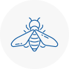 Bee Nest Removal Rubery