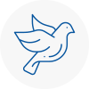 Bird Prevention Rubery