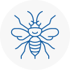 Rubery Hornet Nest Removals
