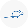 Mice Exterminators In Rubery