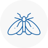 Moth Control Specialists In Rubery
