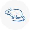 Rat Control Rubery