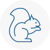 Rubery Rodent Removals