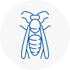 Rubery Wasp Nest Removal